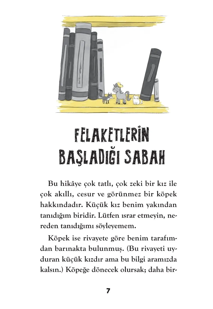 Işıltılı Şeyler Koleksiyoncusu – Sayfa 3