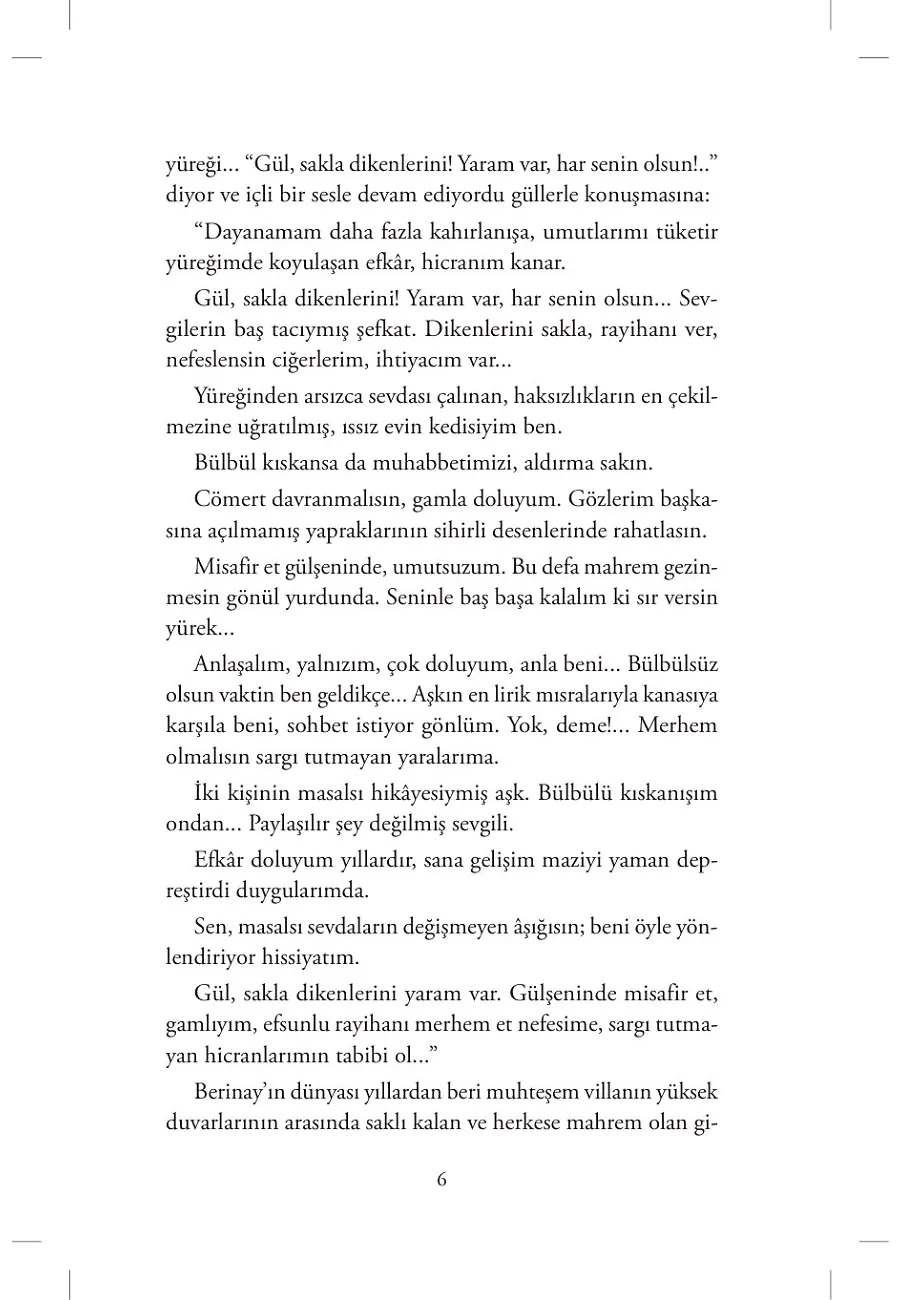 Issız Evin Kedisi – Sayfa 3