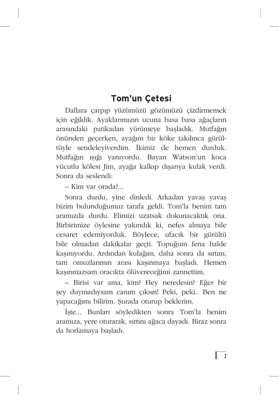 Huckleberry Finn (Gençlik Klasikleri) – Sayfa 3