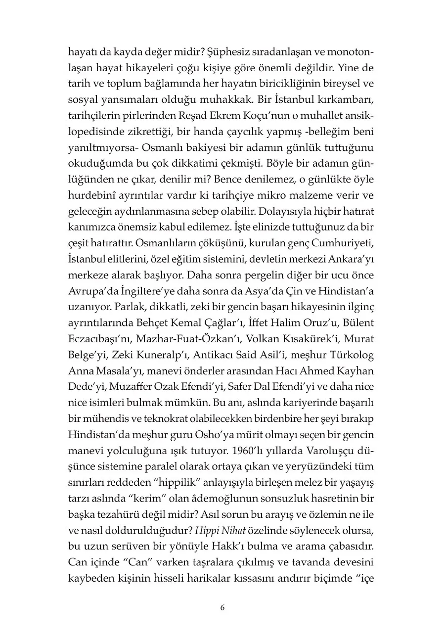Hippi Nihat – Sayfa 2