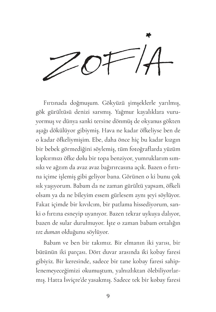 Her Şeyin Işığı – Sayfa 1