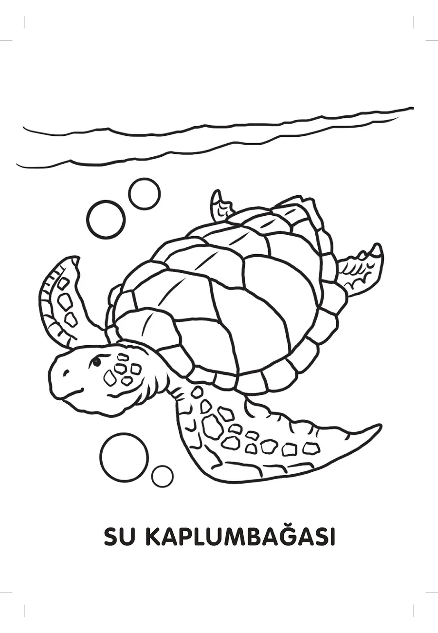Hem Karada Hem Suda Boyama Zamanı - Hayvanlarla Tanışıyorum – Sayfa 1