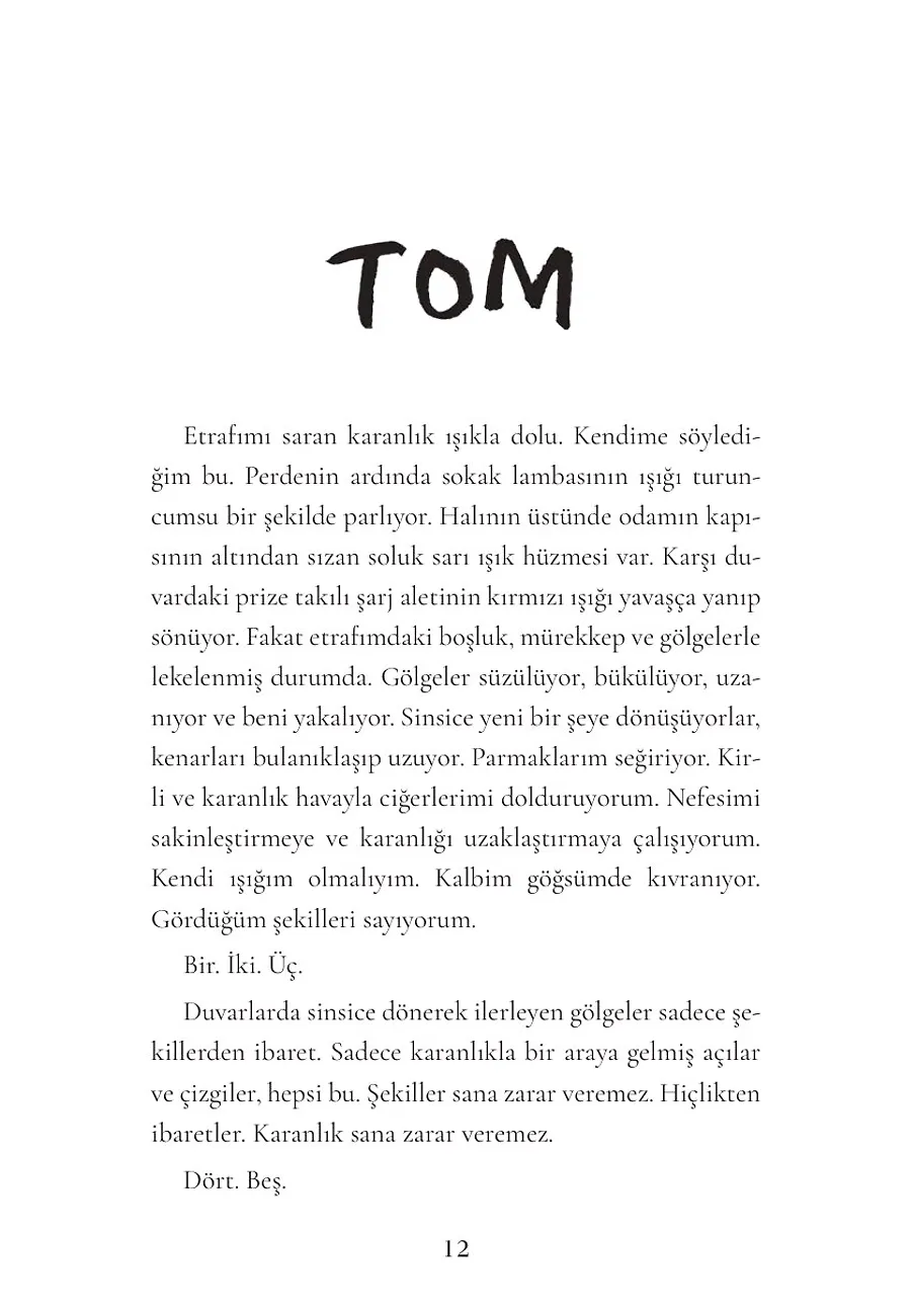 Her Şeyin Işığı – Sayfa 4