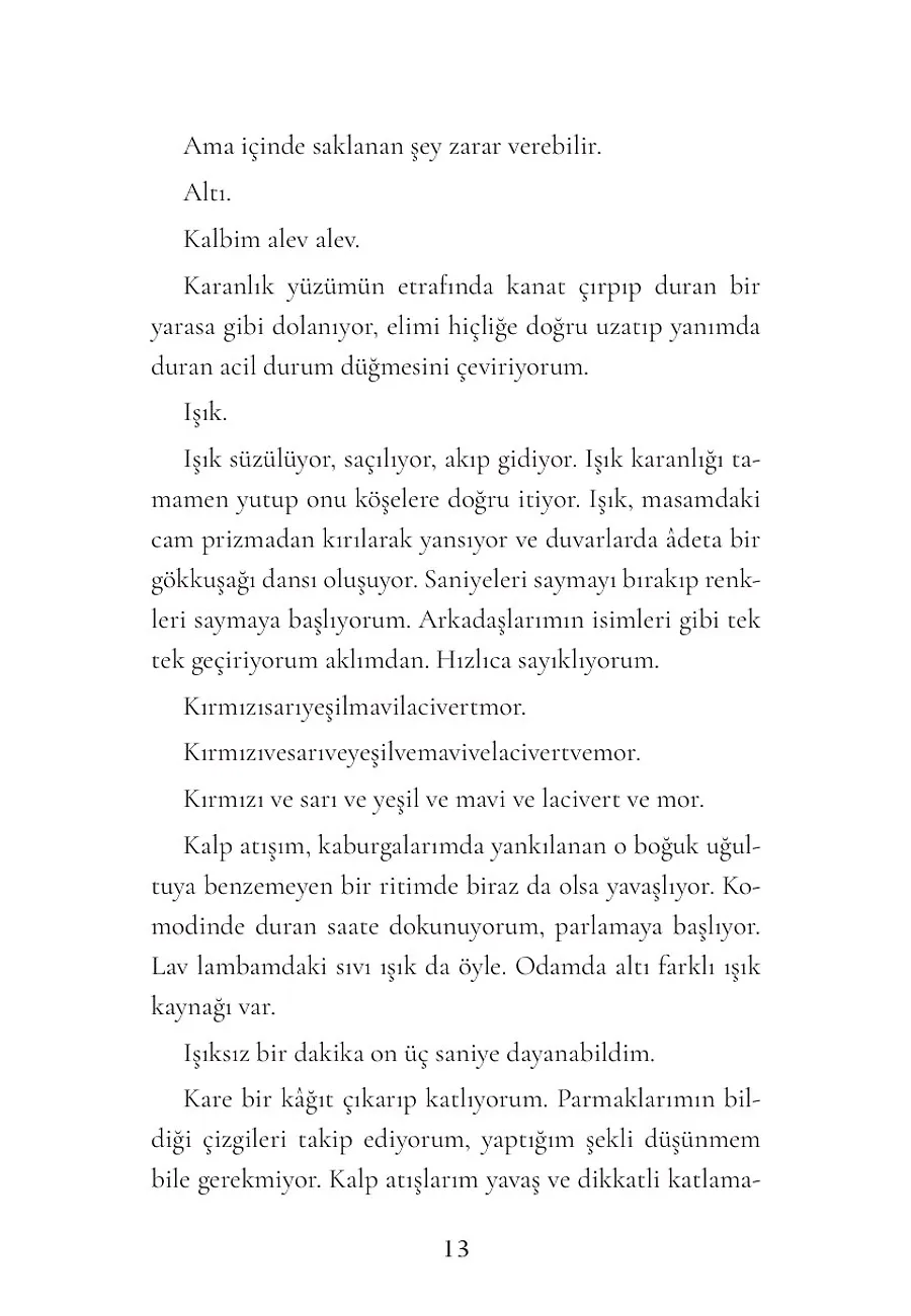 Her Şeyin Işığı – Sayfa 5