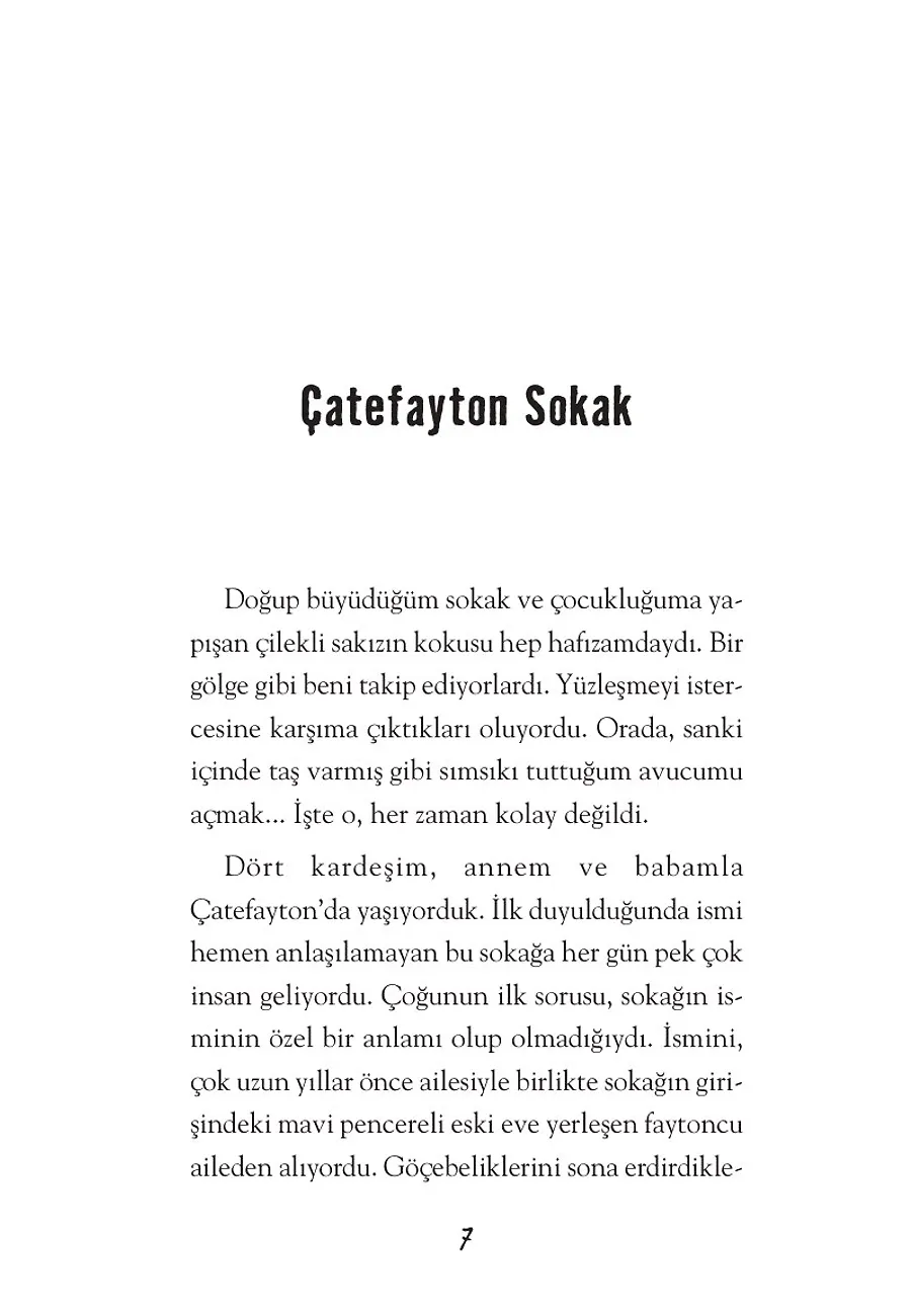 Hayta – Sayfa 1