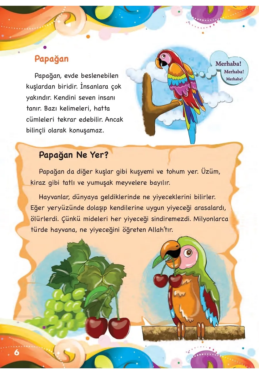 Hayvanların Renkli Dünyası - Her Şey Allah'ı Anlatıyor – Sayfa 6