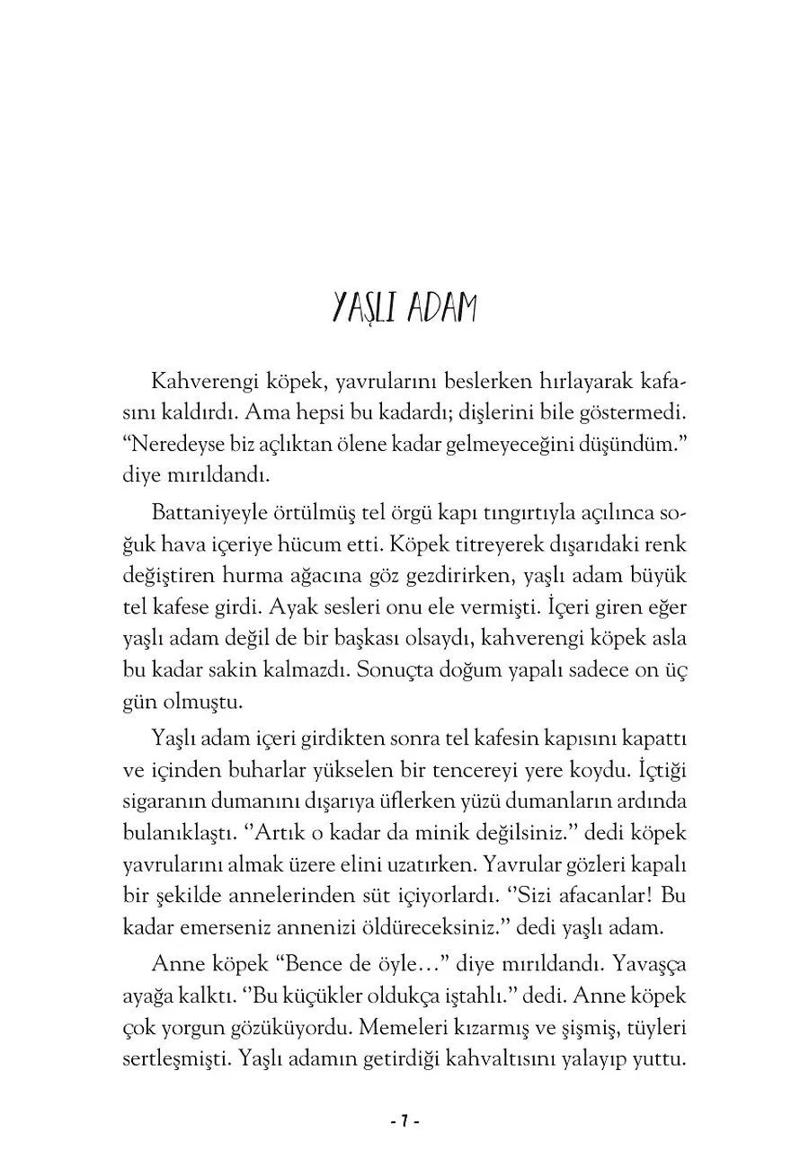 Hayal Kurmaya Cesaret Eden Köpek – Sayfa 1