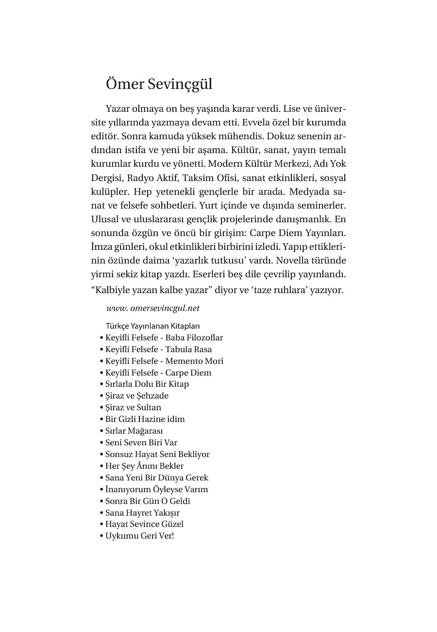 Hayaldi Roman Oldu – Sayfa 3