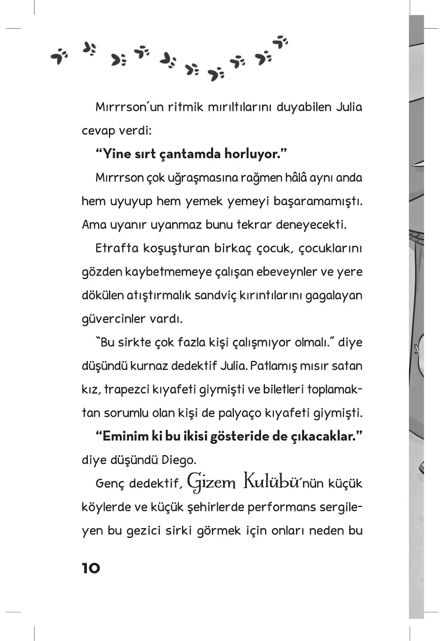 Havlock Holmes - Büyük Kaplan Sirki'ndeki Gizem – Sayfa 2