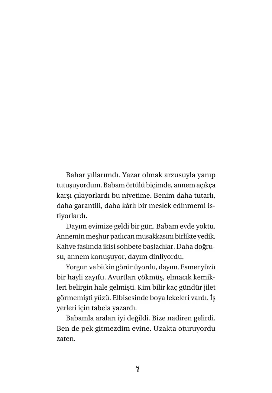 Hayaldi Roman Oldu – Sayfa 5