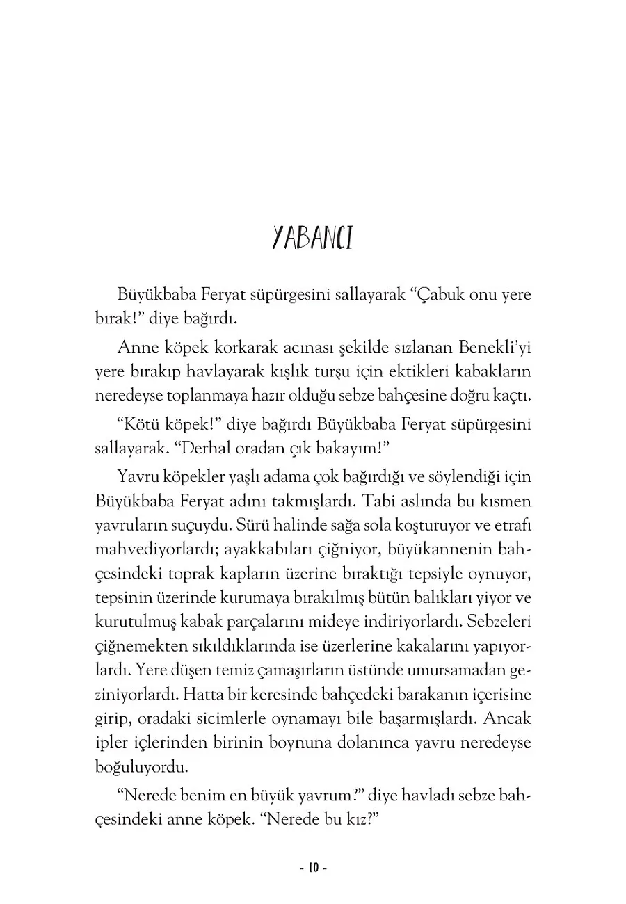 Hayal Kurmaya Cesaret Eden Köpek – Sayfa 4