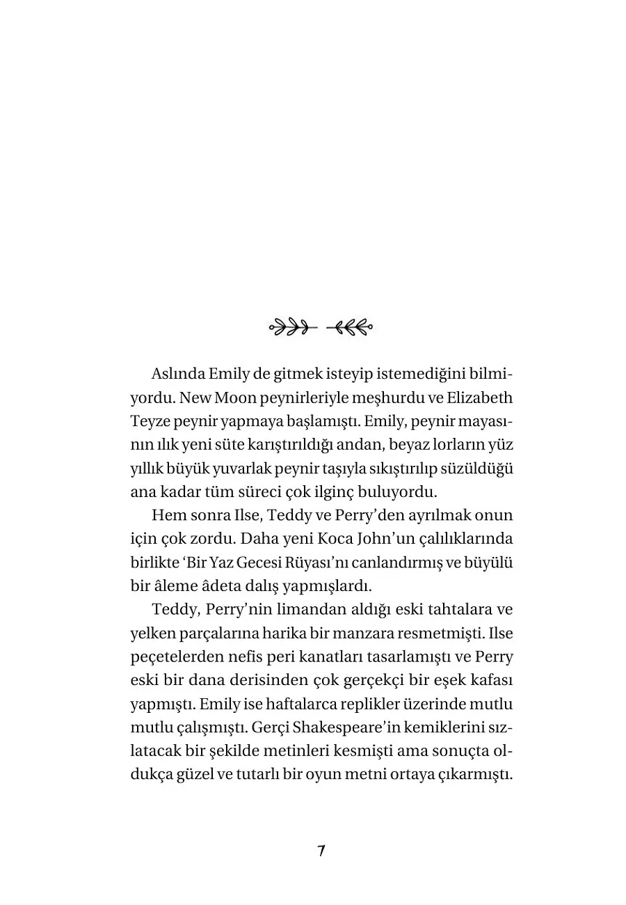 Hayal Dokumacısı - Mavinin Kızı Emily 3 – Sayfa 5