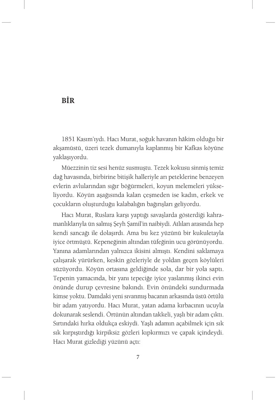 Hacı Murat (Antik Yeni) – Sayfa 2