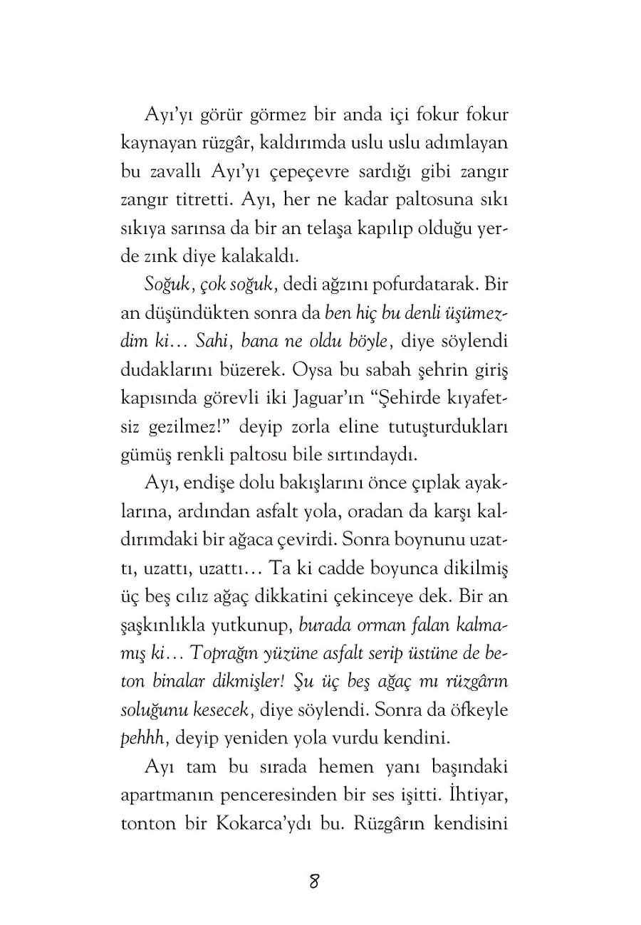 Gümüş Paltolu Ayı – Sayfa 2