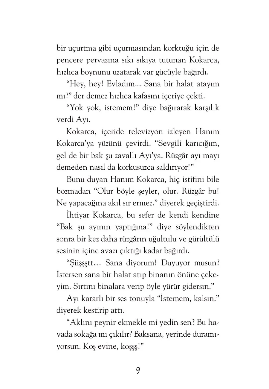 Gümüş Paltolu Ayı – Sayfa 3