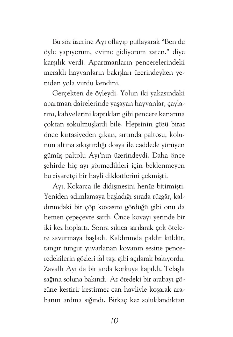 Gümüş Paltolu Ayı – Sayfa 4