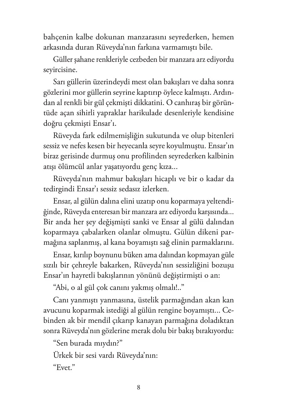 Gül Ağacı Sana Benzer – Sayfa 2