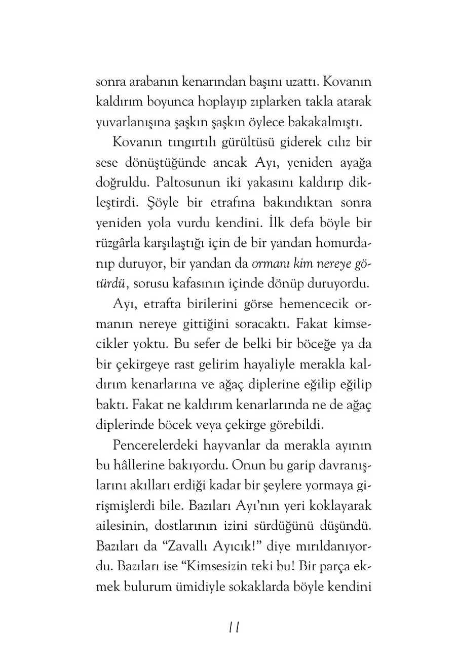 Gümüş Paltolu Ayı – Sayfa 5
