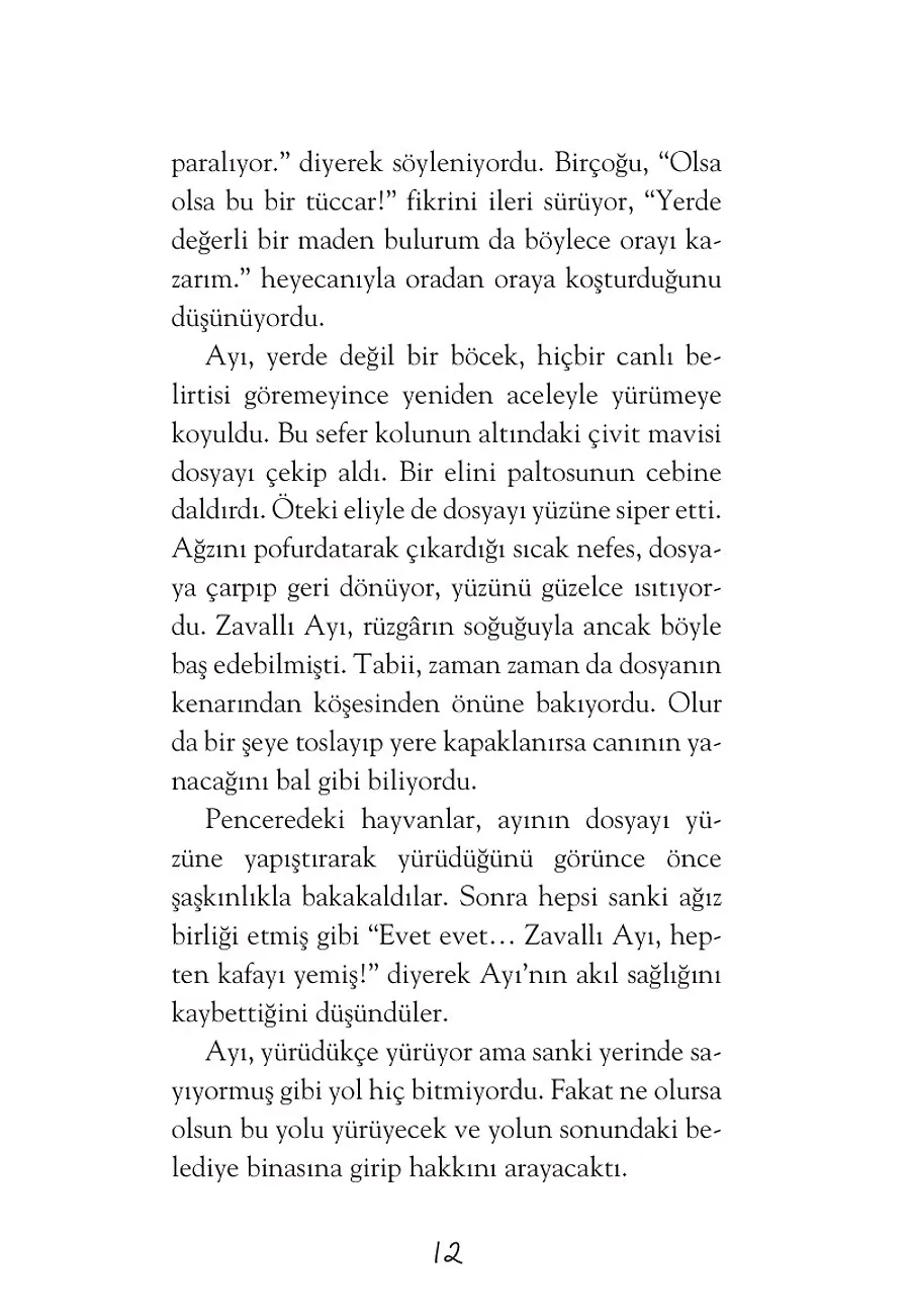 Gümüş Paltolu Ayı – Sayfa 6