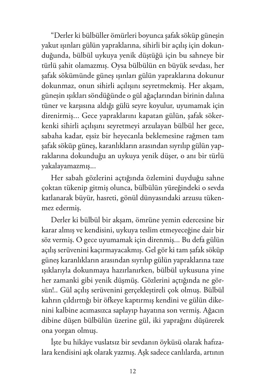 Gül Ağacı Sana Benzer – Sayfa 6