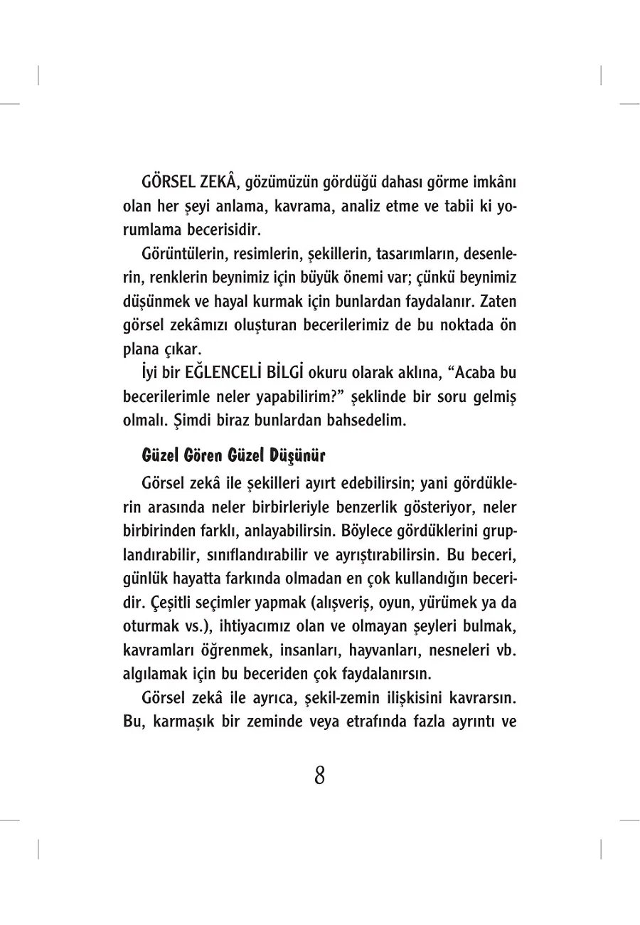 Göz Göre Göre Görsel Zeka – Sayfa 4