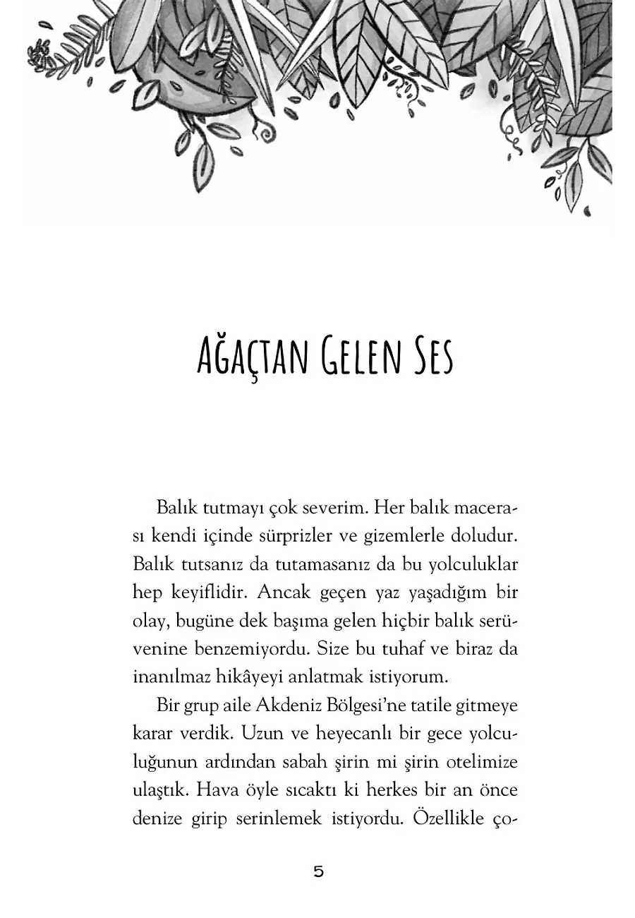 Gizli Renkler Adası – Sayfa 1