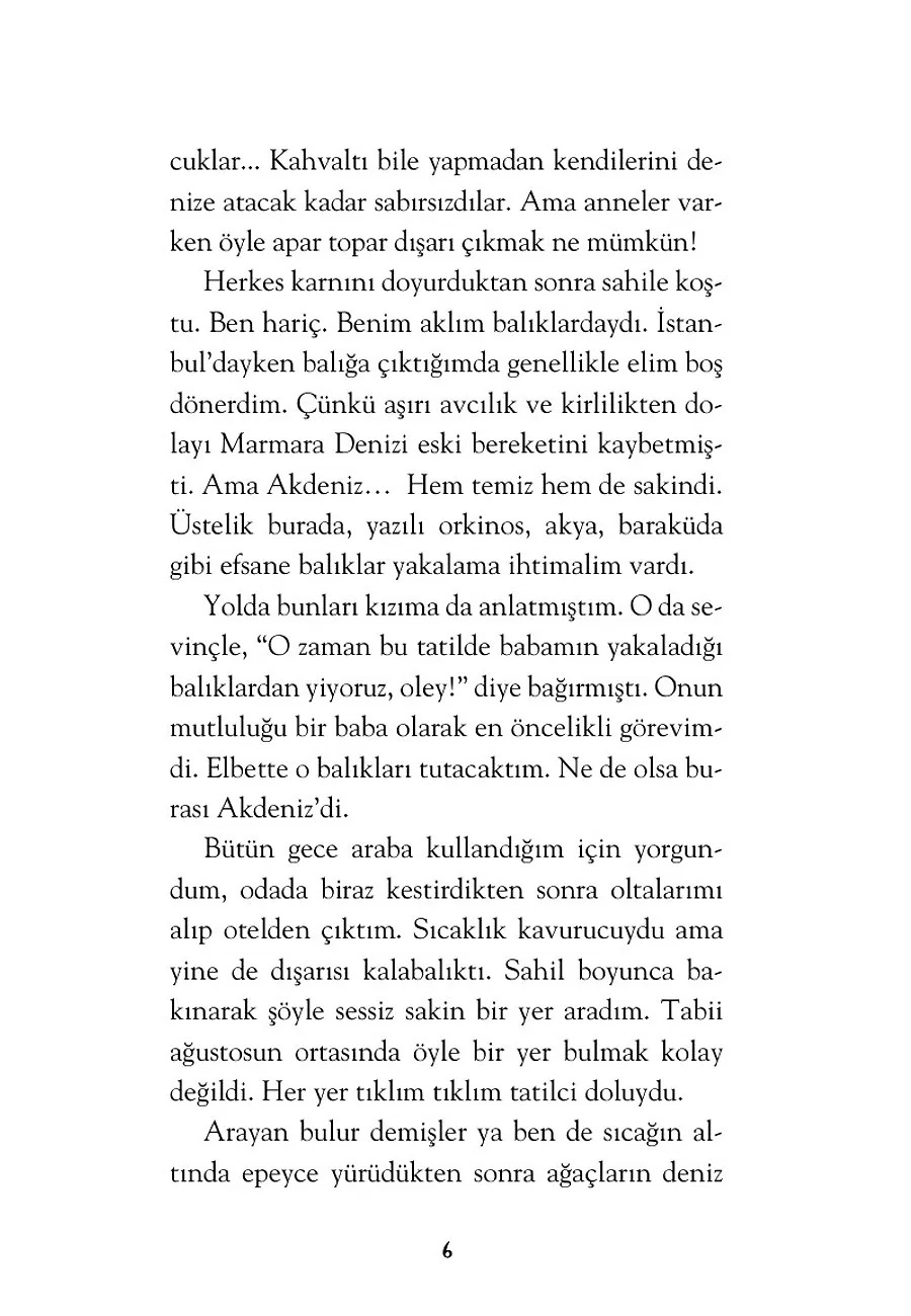 Gizli Renkler Adası – Sayfa 2