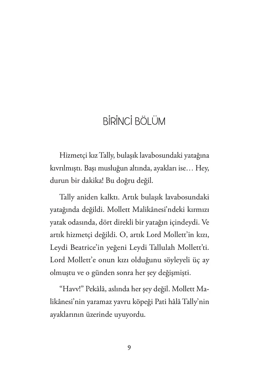 Gizemli Yeraltı Kütüphanesi 4 - Kayıp Hazine – Sayfa 2