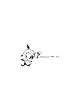 Sayfa 5