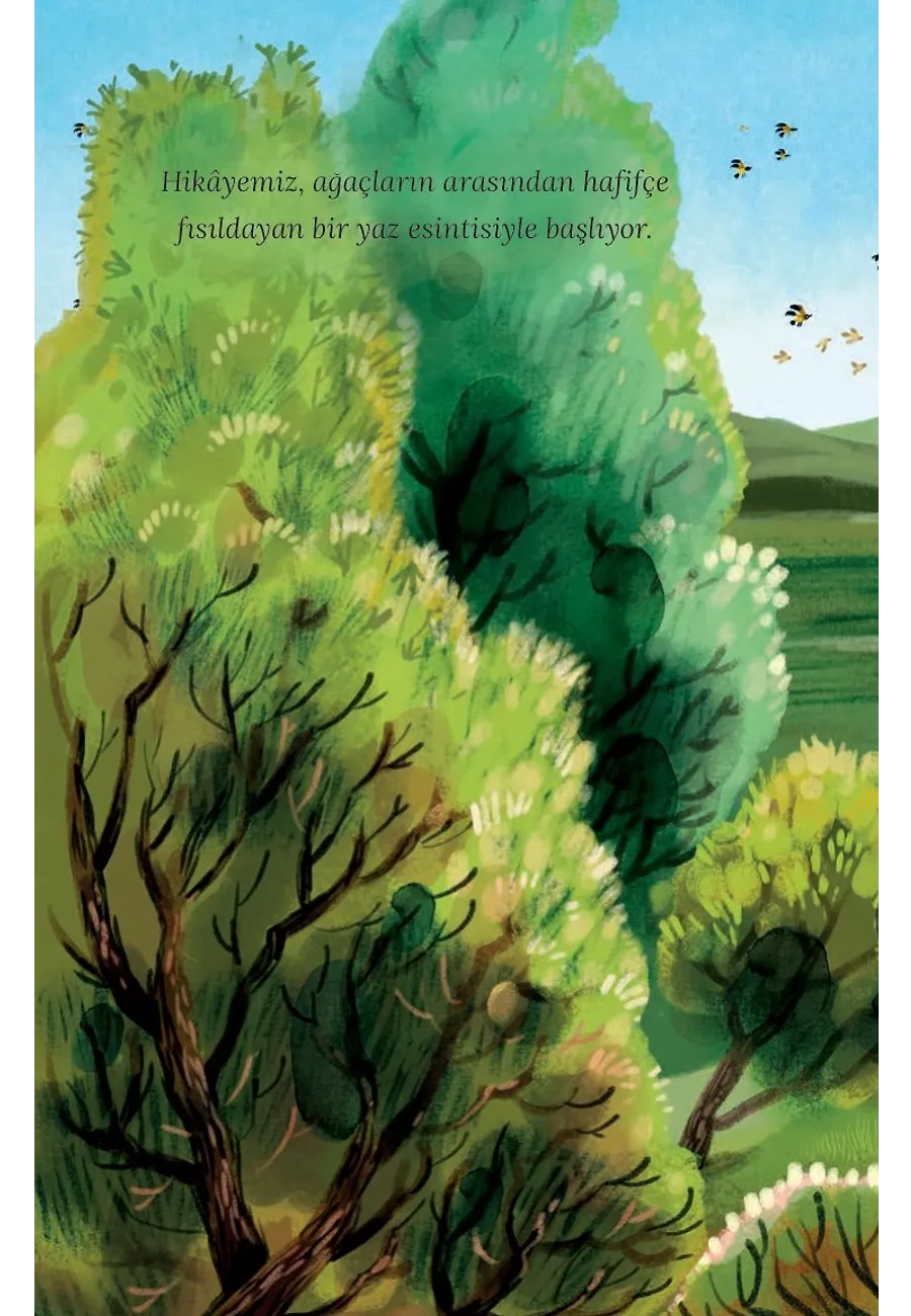 Eyvah Kayboldum - Ormandaki Macera – Sayfa 2