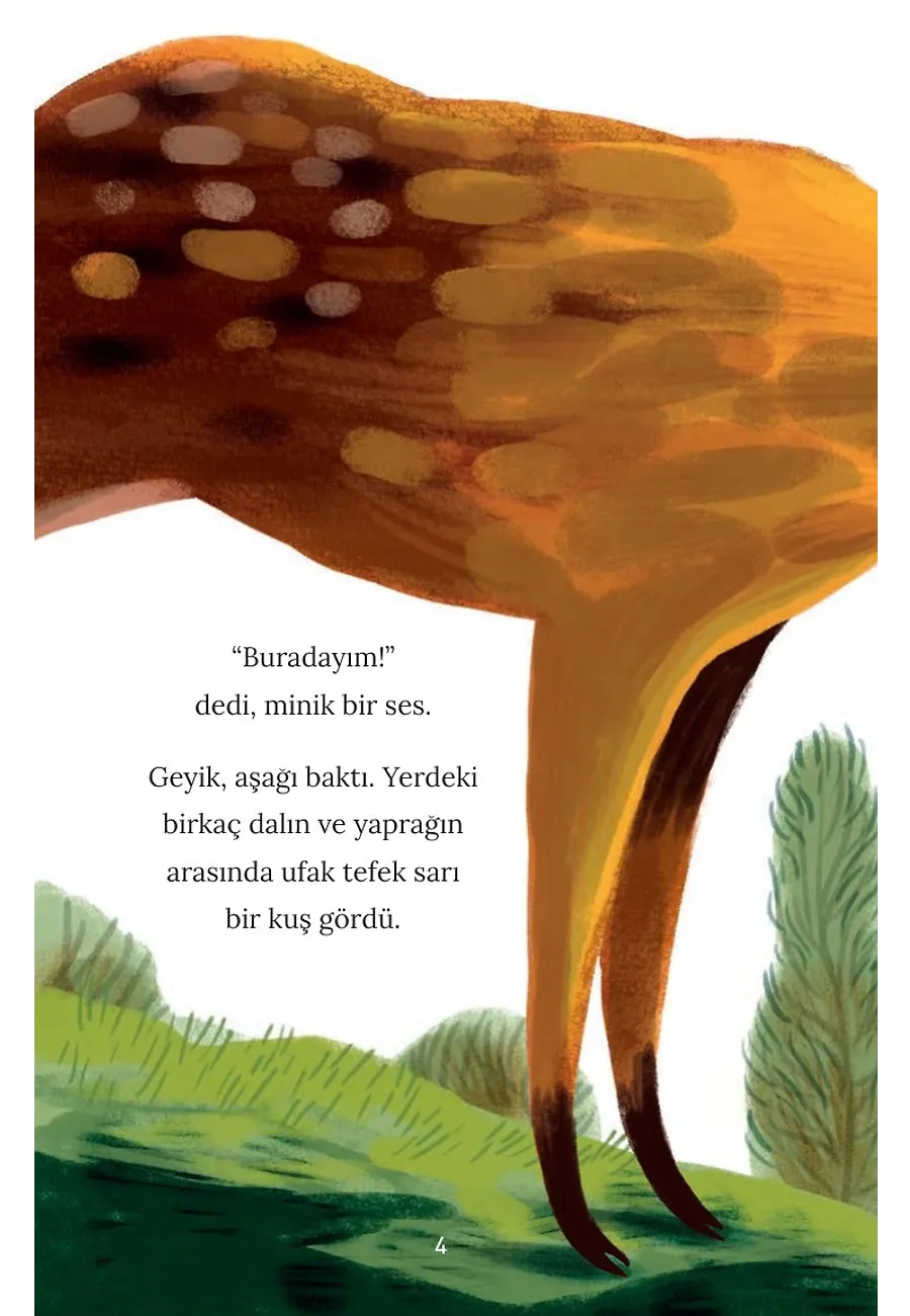 Eyvah Kayboldum - Ormandaki Macera – Sayfa 6