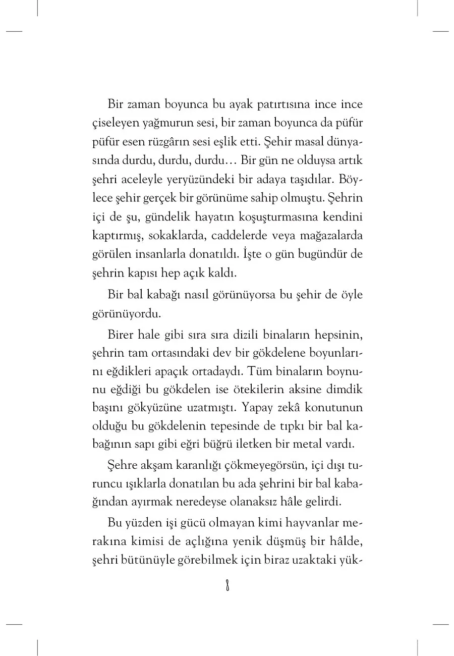 Eşya Hastalıkları Doktoru – Sayfa 2