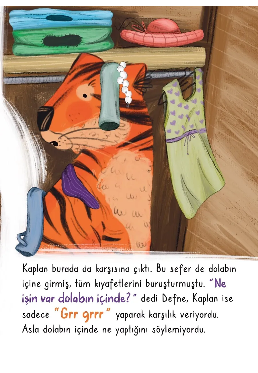 Evdeki Kocaman Kaplan – Sayfa 6