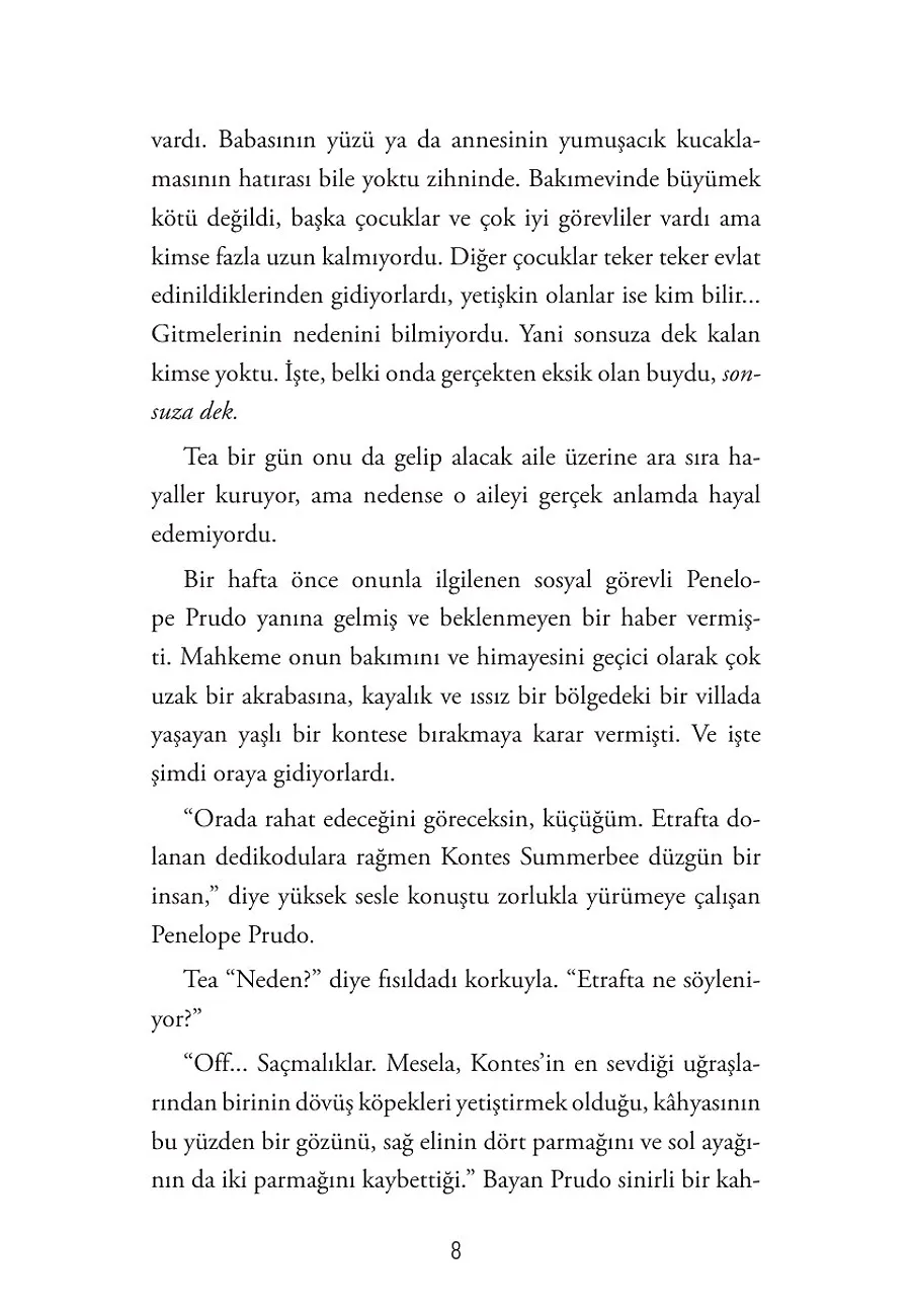 Elma Çekirdeği – Sayfa 2