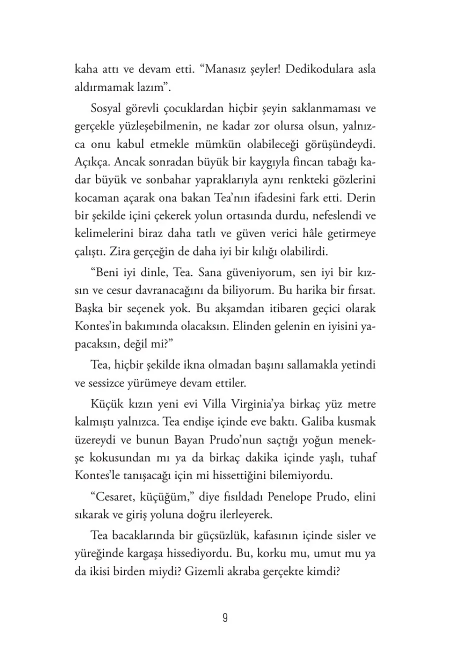 Elma Çekirdeği – Sayfa 3
