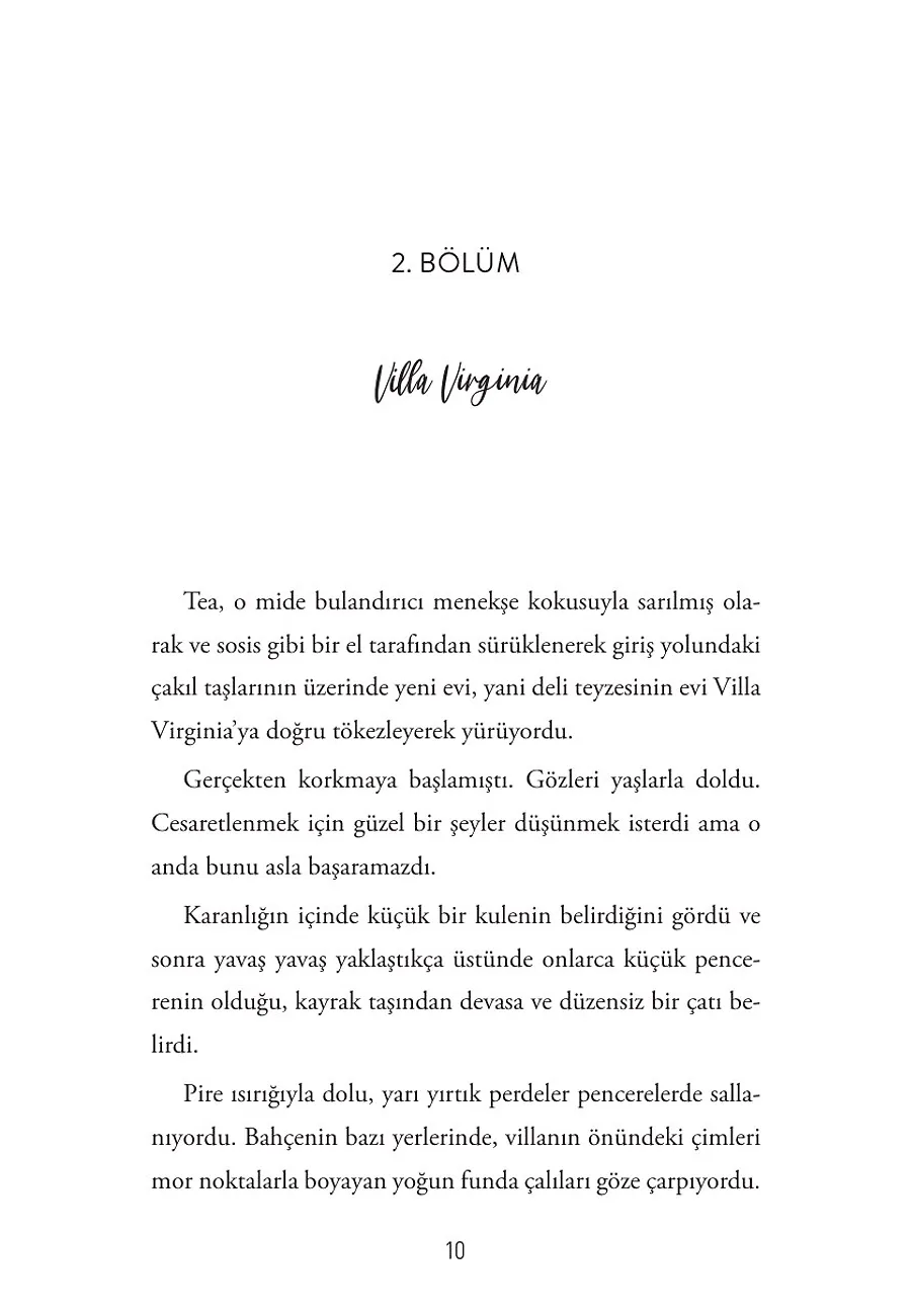 Elma Çekirdeği – Sayfa 4