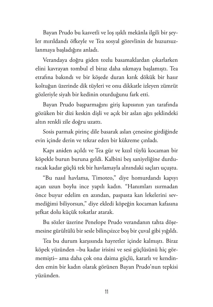 Elma Çekirdeği – Sayfa 5