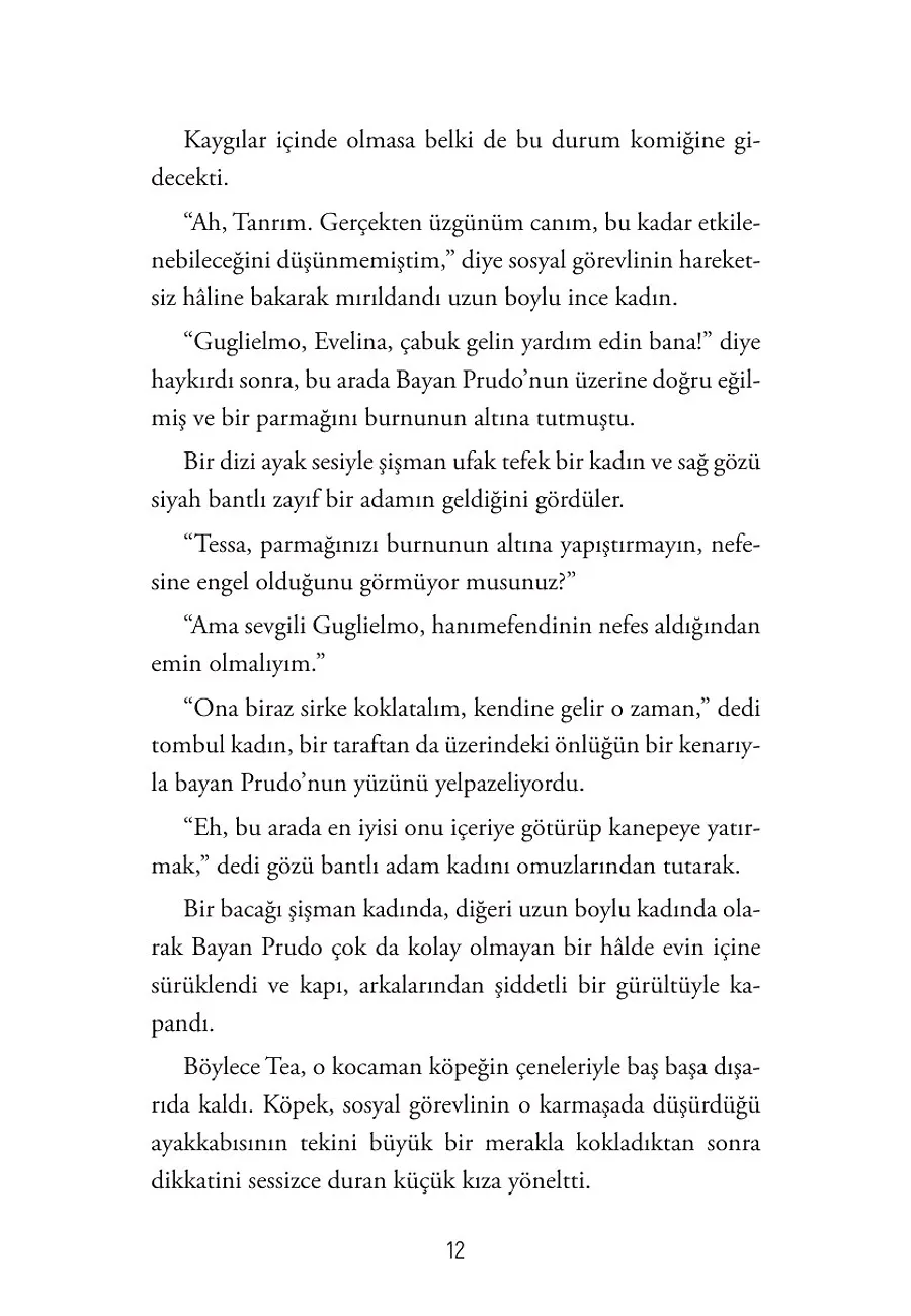 Elma Çekirdeği – Sayfa 6