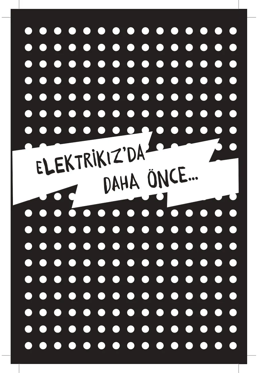 Elektrikız Ve Görünmez Hırsızlar – Sayfa 4