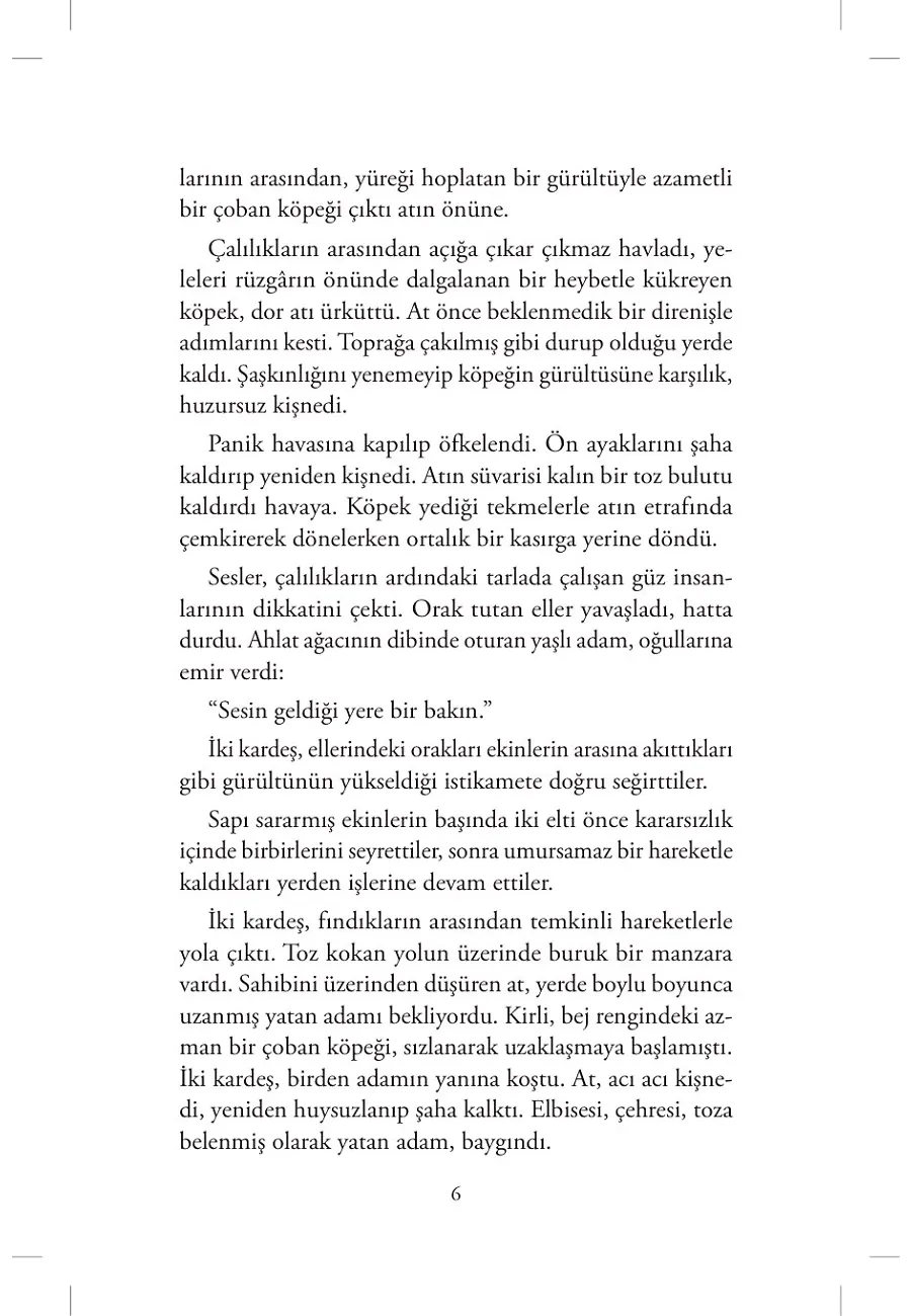 Ekinler Yeşerdikçe – Sayfa 2