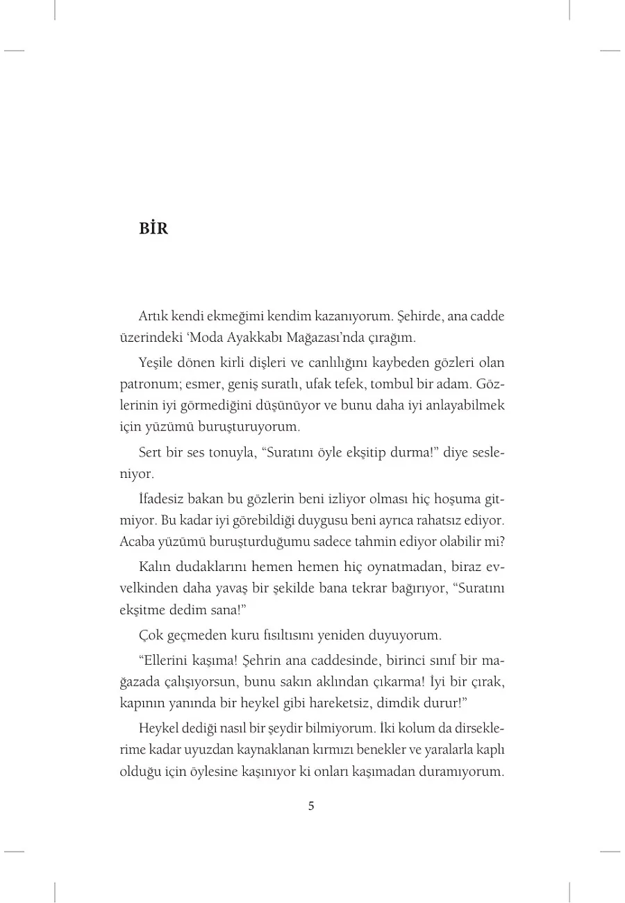 Ekmeğimi Kazanırken – Sayfa 2