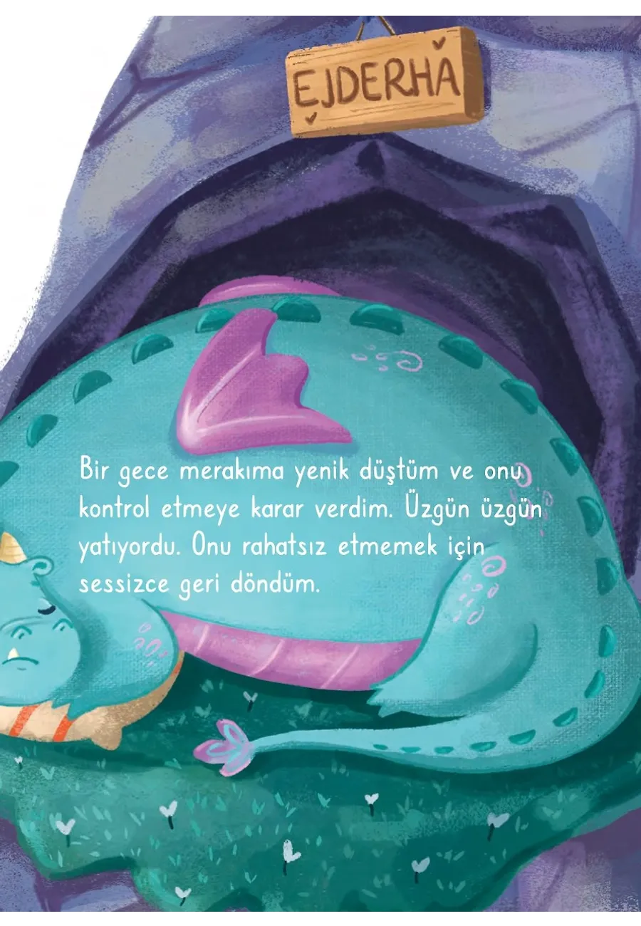Ejderham Nereye Uçtu? – Sayfa 2