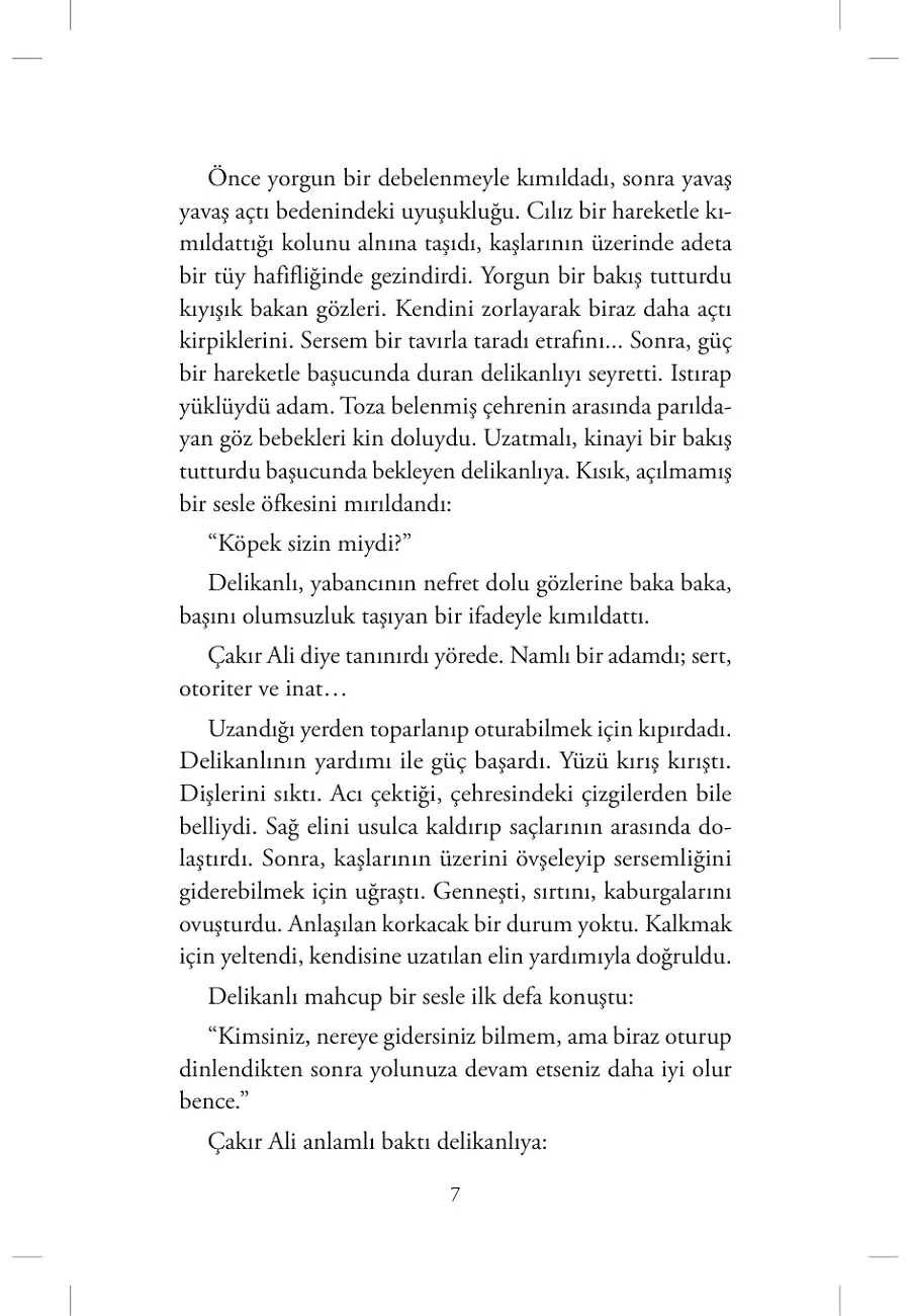 Ekinler Yeşerdikçe – Sayfa 3