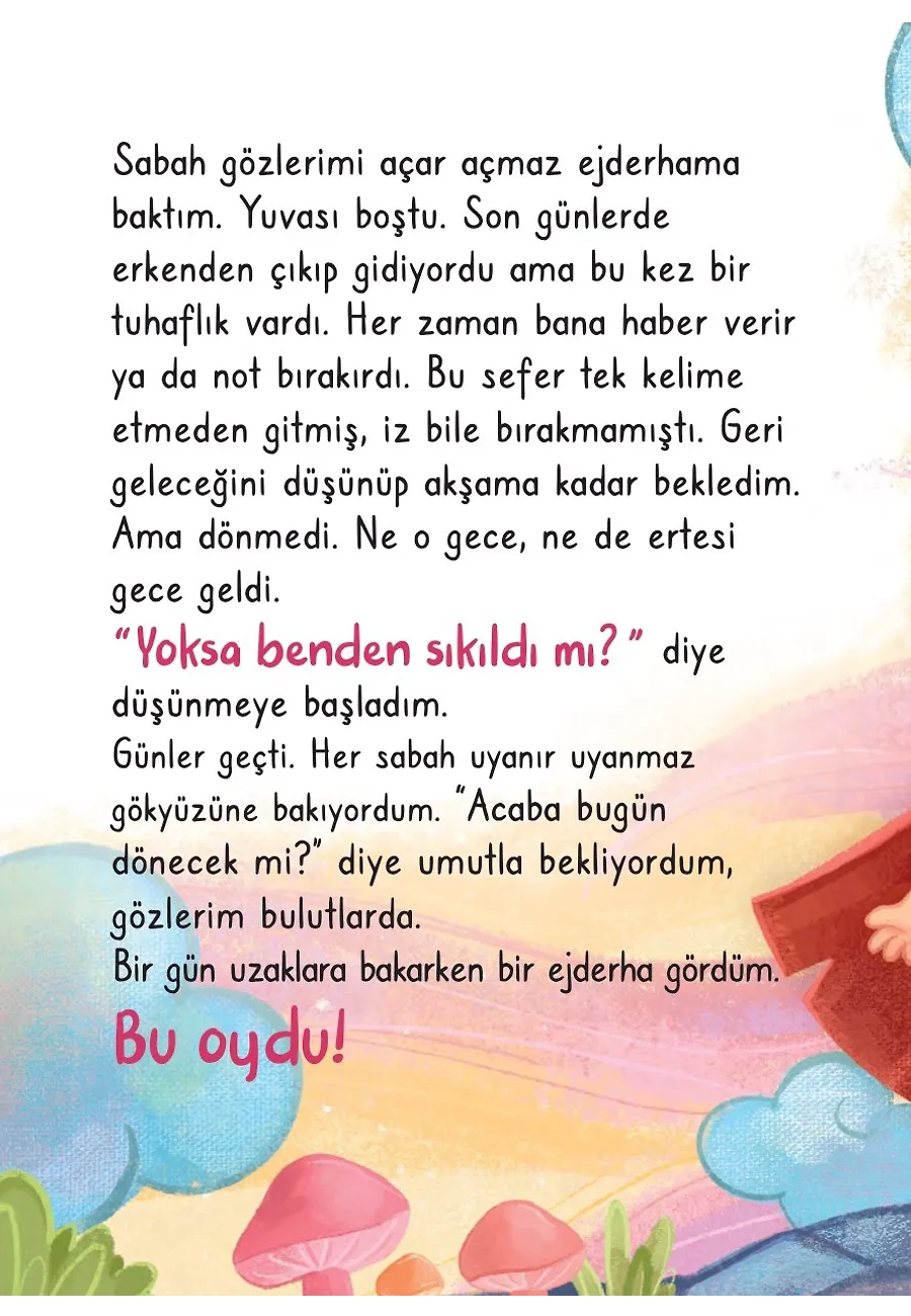 Ejderham Nereye Uçtu? – Sayfa 3