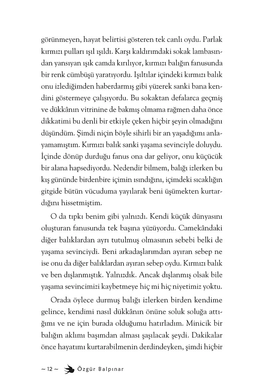 Dünyayı Sırtında Taşıyan Balık – Sayfa 6