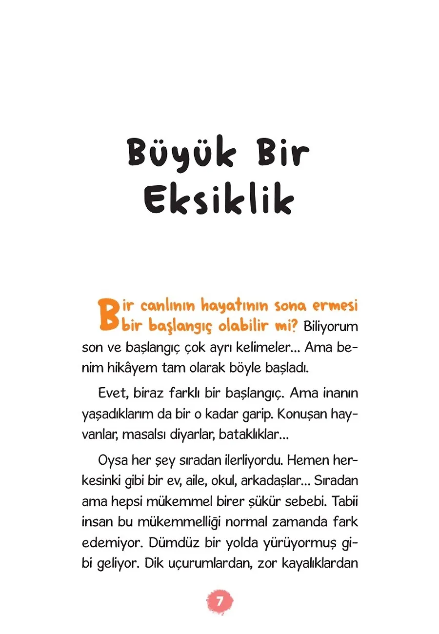 Dostluk Pusulası - Peygamberimin (Sav) İzinde – Sayfa 1