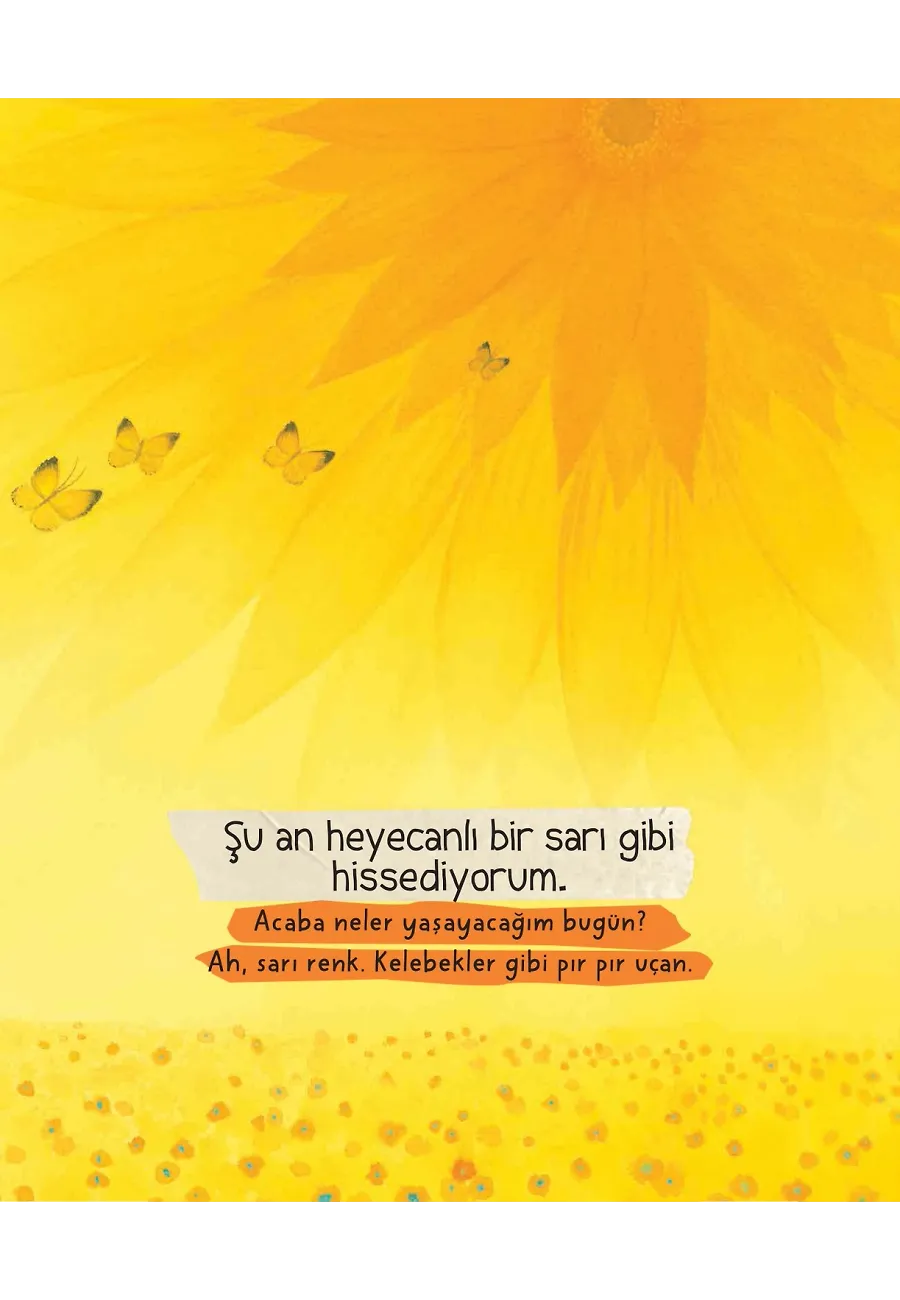 Duyguların Ne Renk? (Ciltli) – Sayfa 6