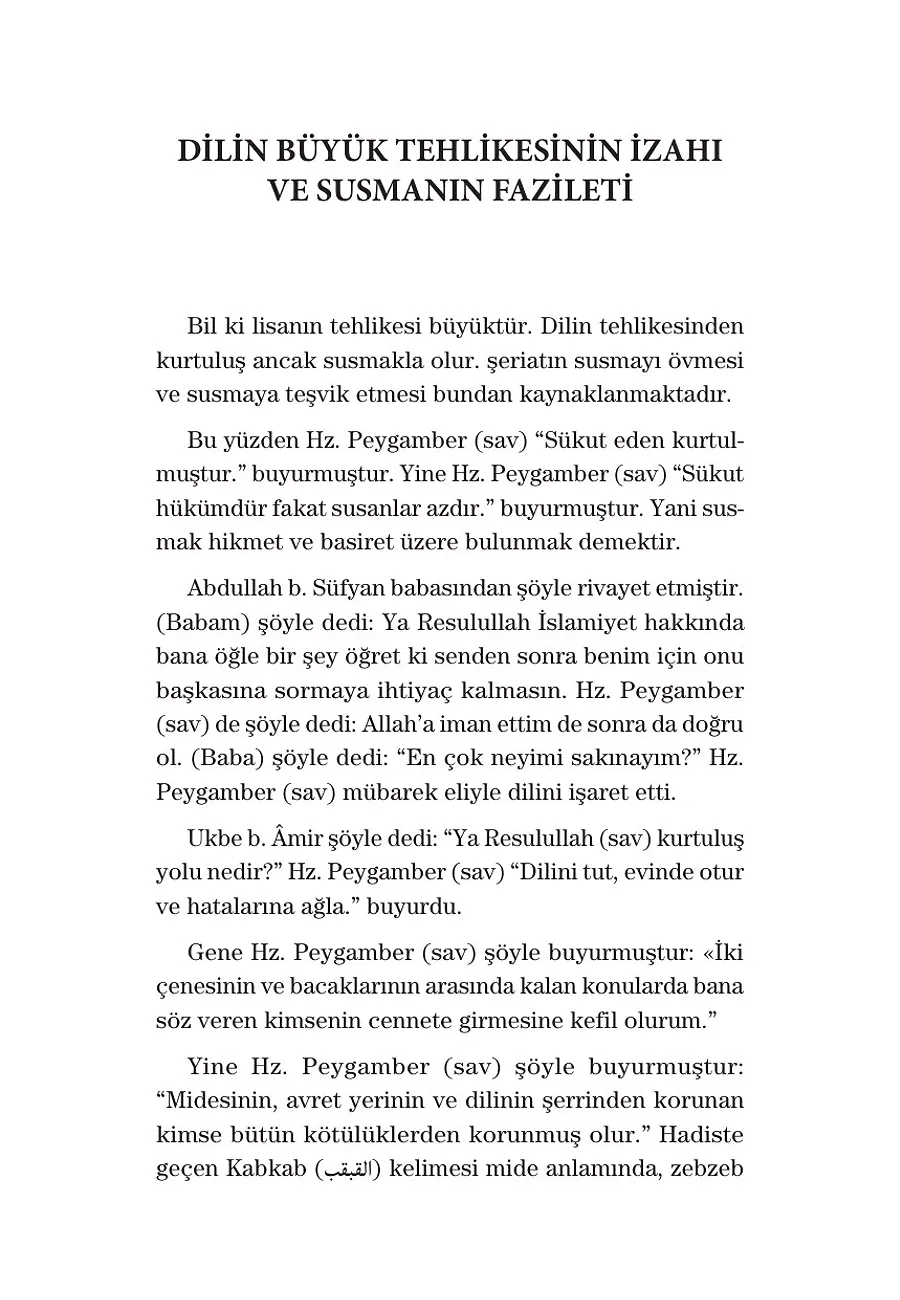 Dilin Afetleri – Sayfa 4