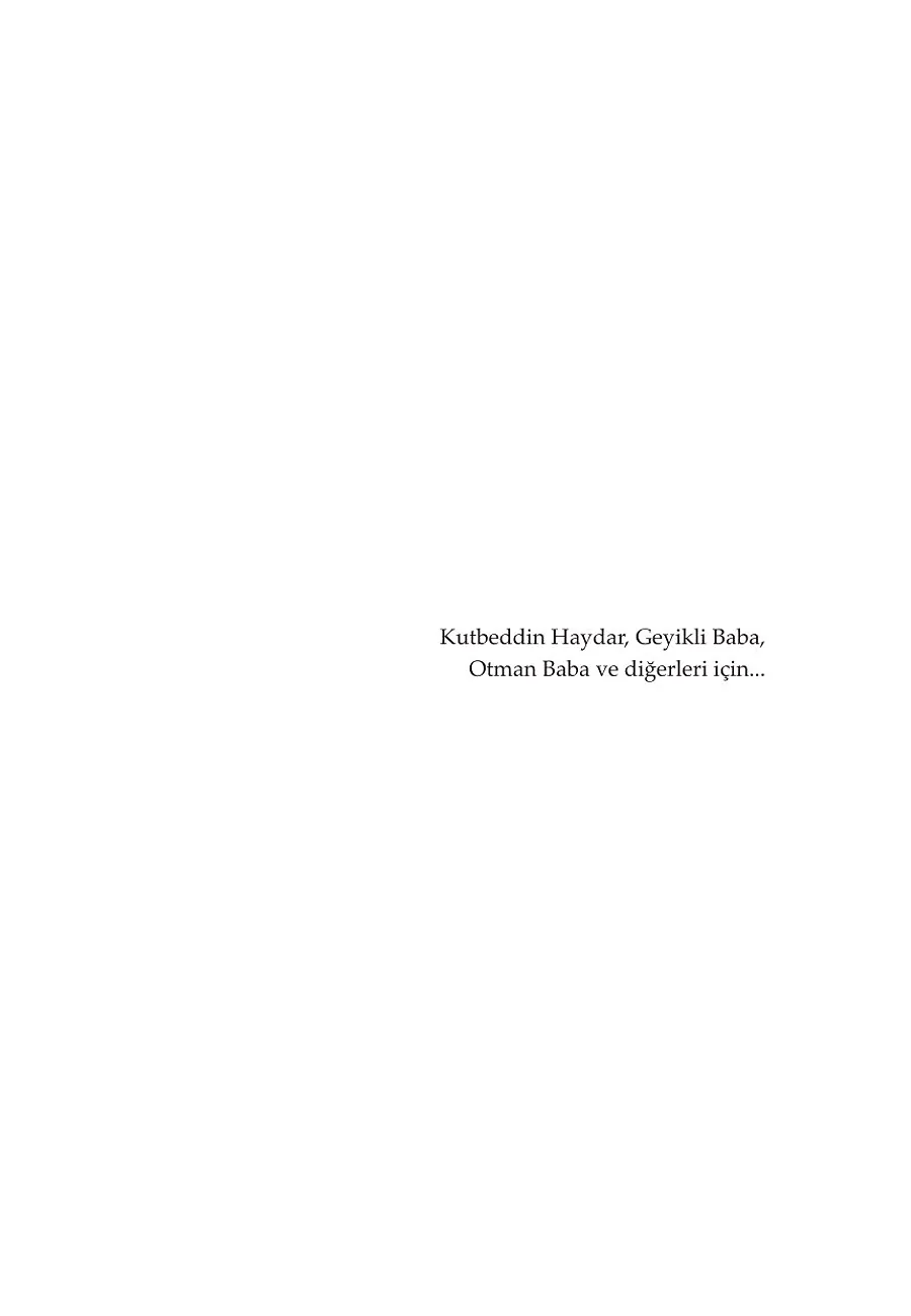 Devrana Girip Seyran Edelim – Sayfa 2