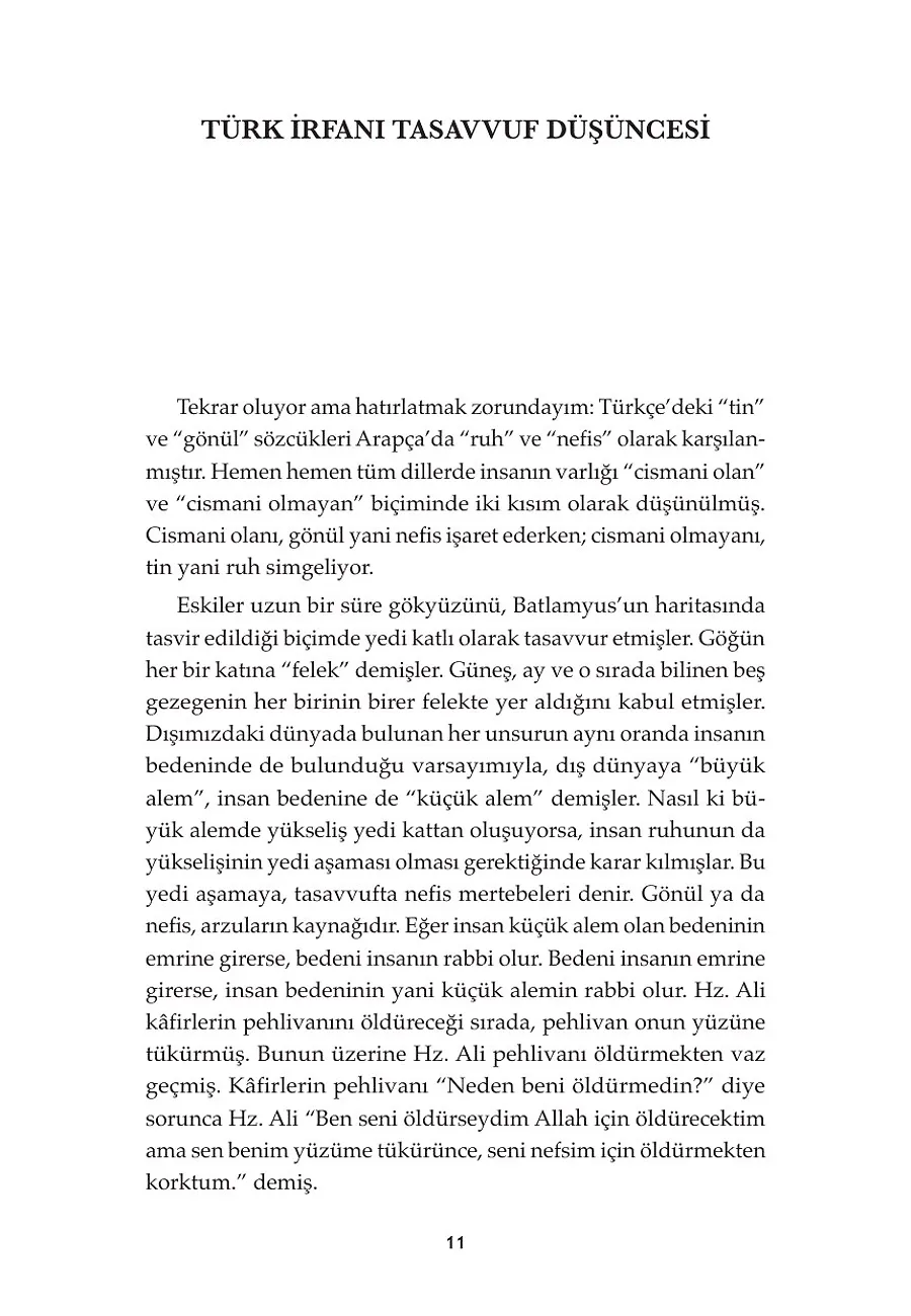 Devrana Girip Seyran Edelim – Sayfa 4